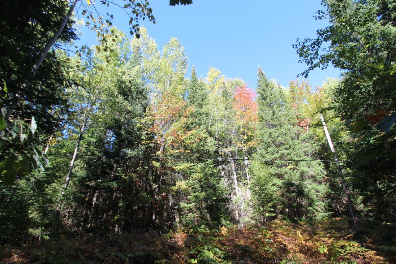 Large Acreage Land For Sale Near Huntsville