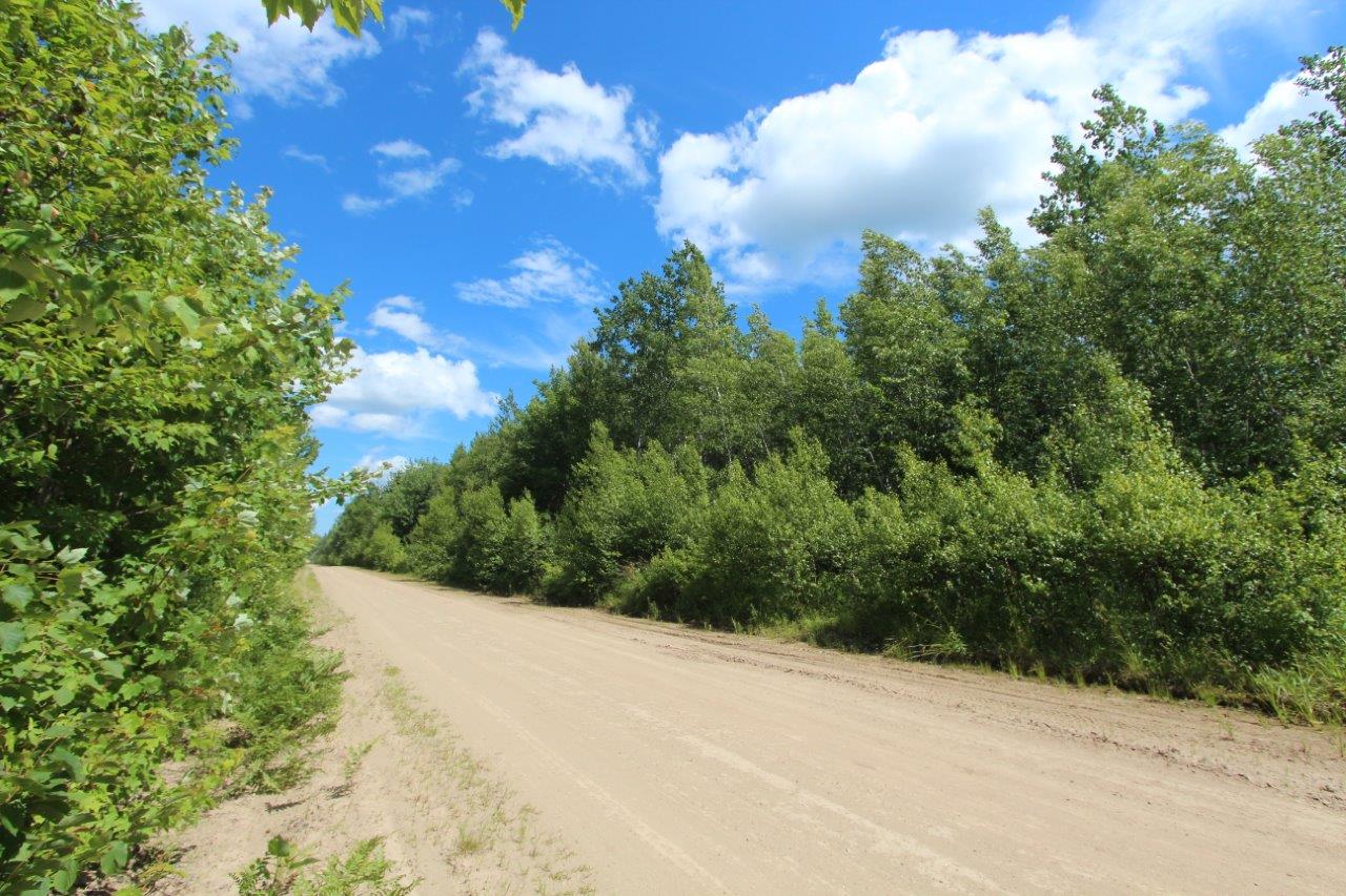 Kent County Land For Sale in New Brunswick 13.34 acres