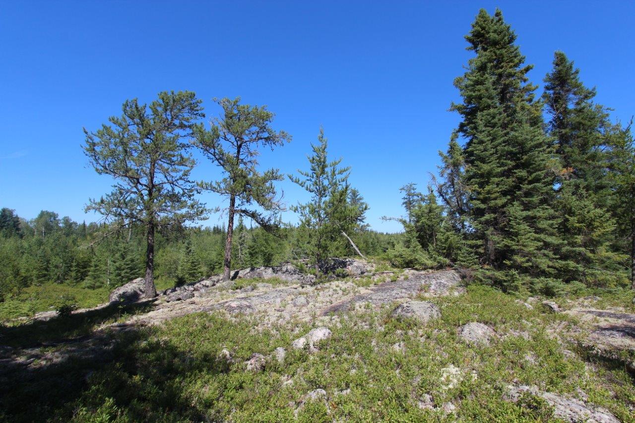 Large Acreage for Sale in Northern Ontario