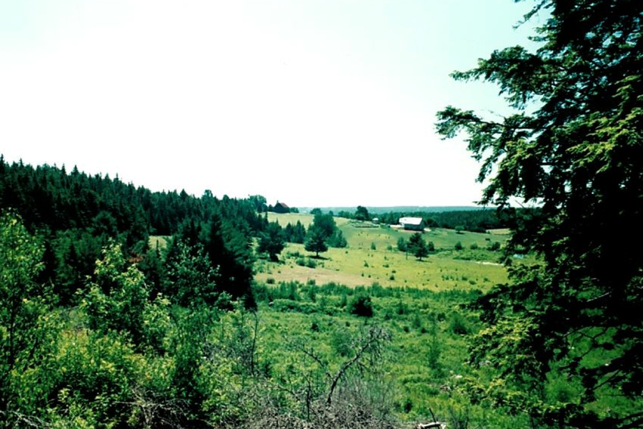 Hobby Farm Land for Sale Nova Scotia