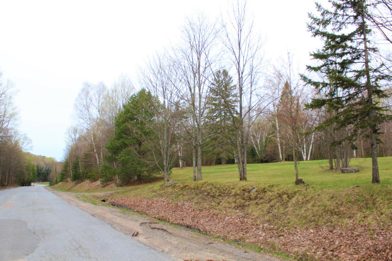 Cottage Lot for Sale in Haliburton, Ontario Dignam Land