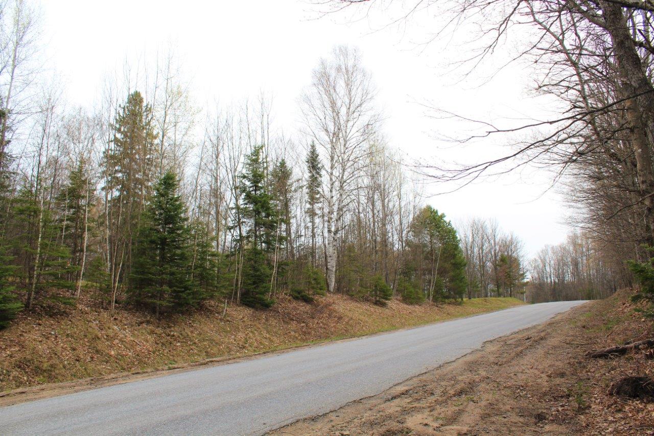 Cottage Lot for Sale in Haliburton, Ontario Dignam Land