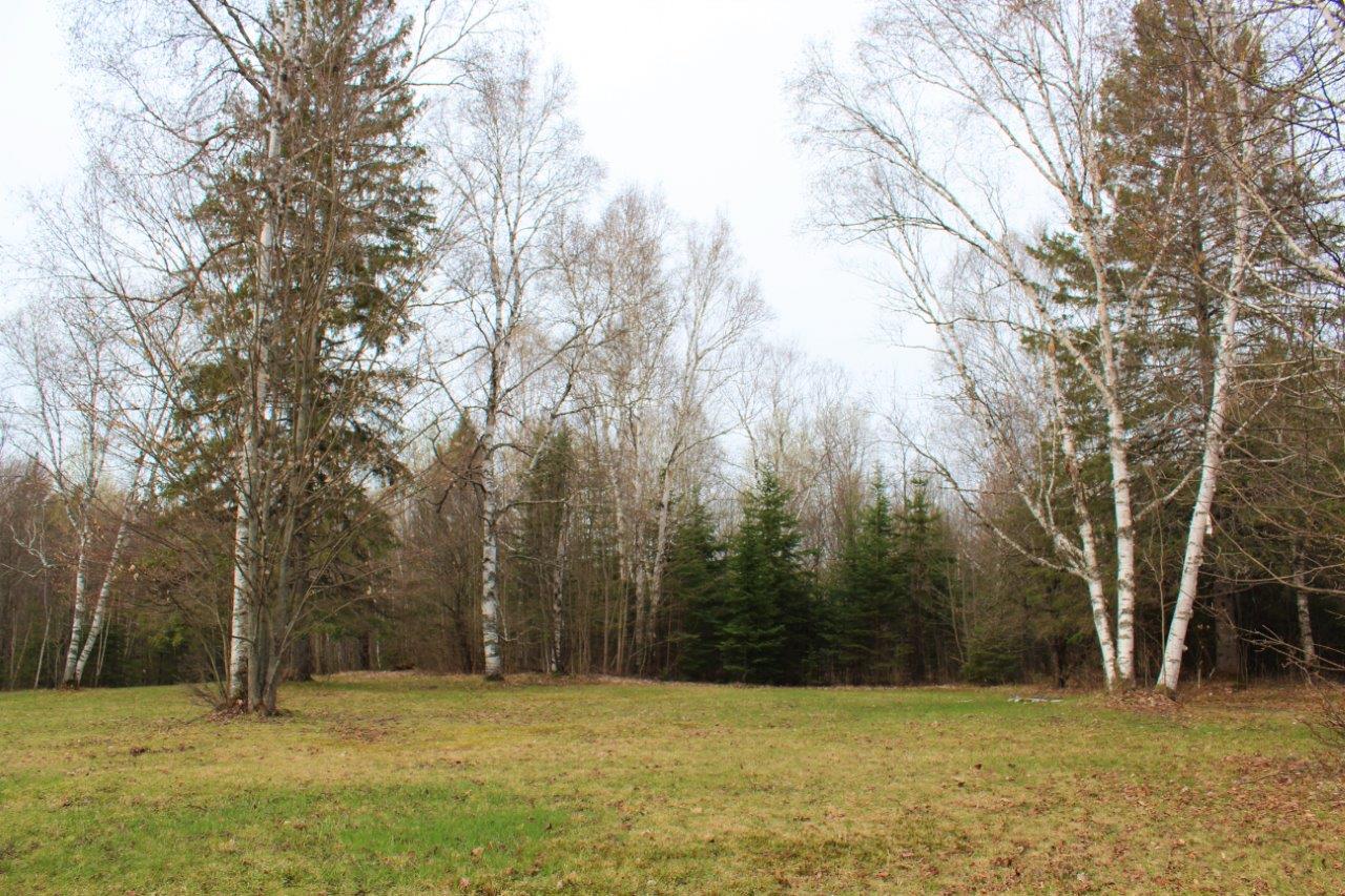 Cottage Lot for Sale in Haliburton, Ontario Dignam Land