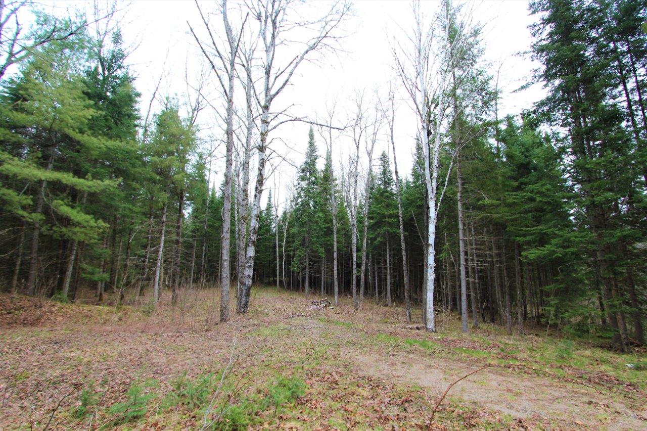 Property for Sale in Haliburton in Southern Ontario Dignam Land