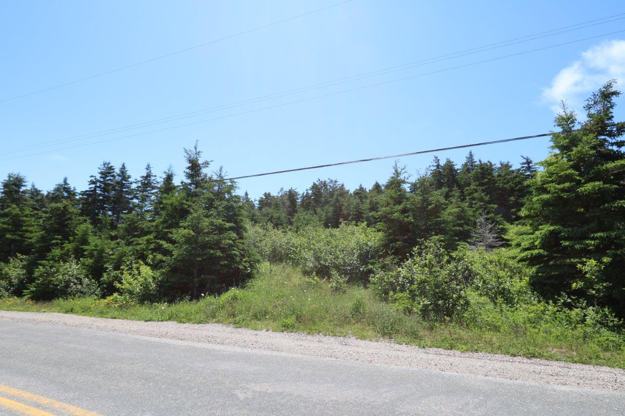 Land for Sale Across from MainADieu Bay, Nova Scotia Dignam Land