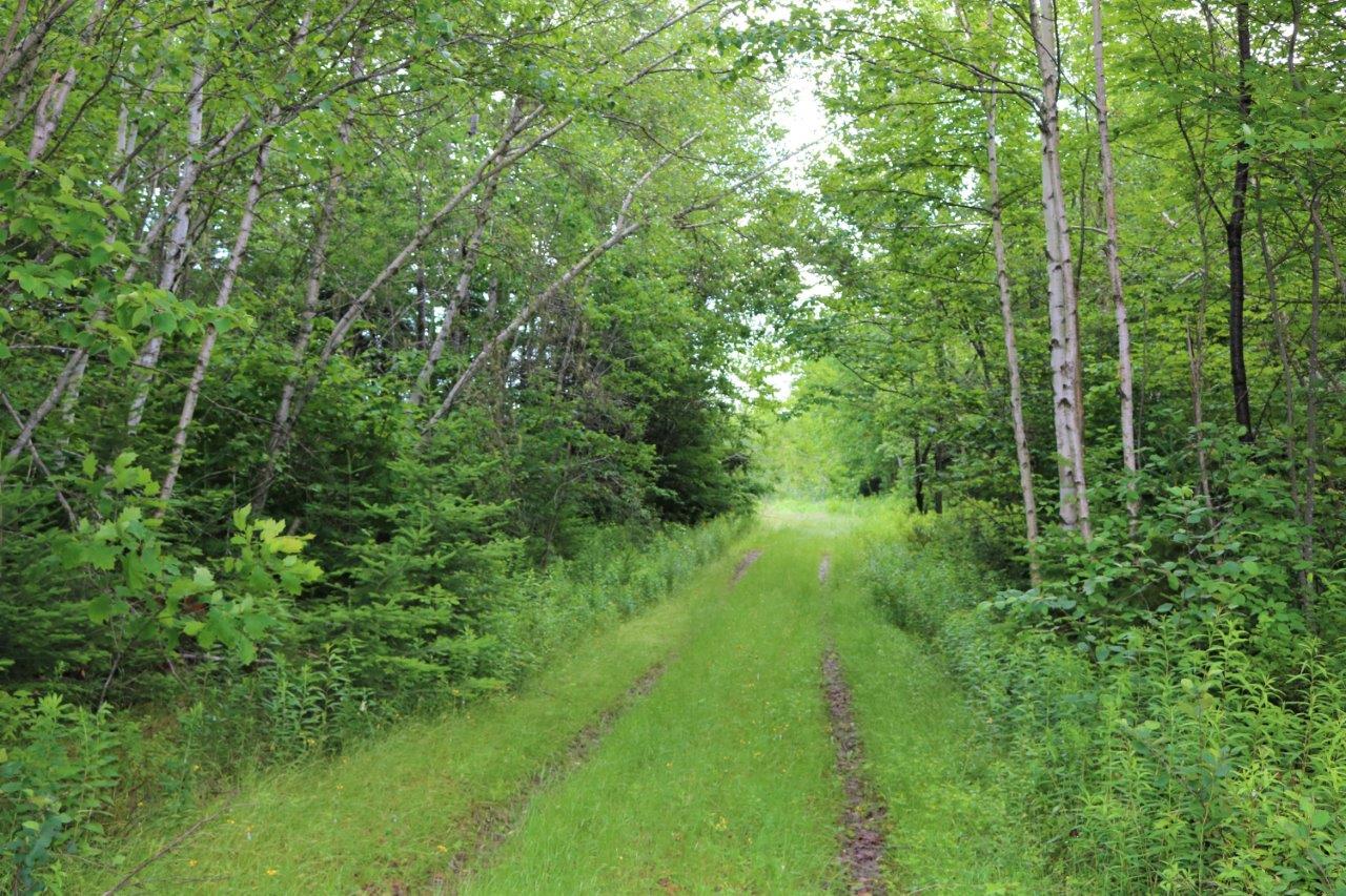 Meadow Property for Sale in Wickham, New Brunswick Dignam Land