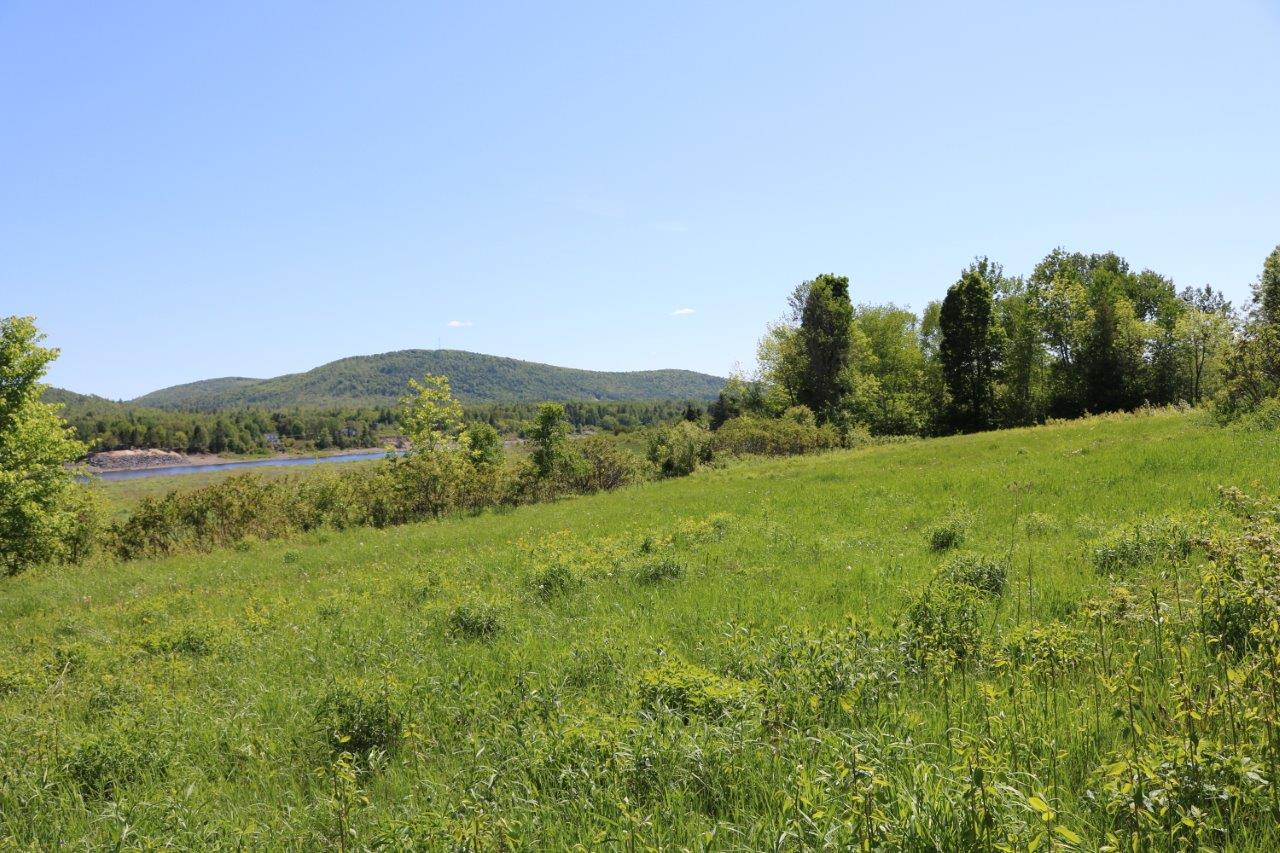 Land for Sale in Parish of St. Francois, New Brunswick Dignam Land