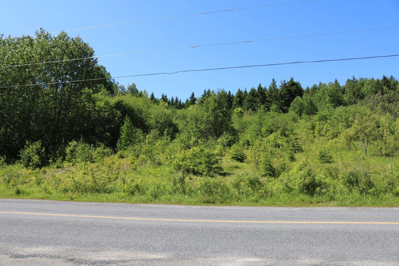 Hunting Property for Sale in Madawaska County, NB Dignam Land