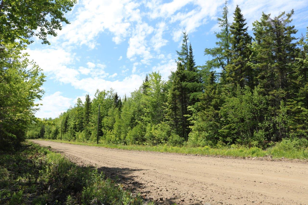 Cottage Land for Sale in Kent County, New Brunswick Dignam Land