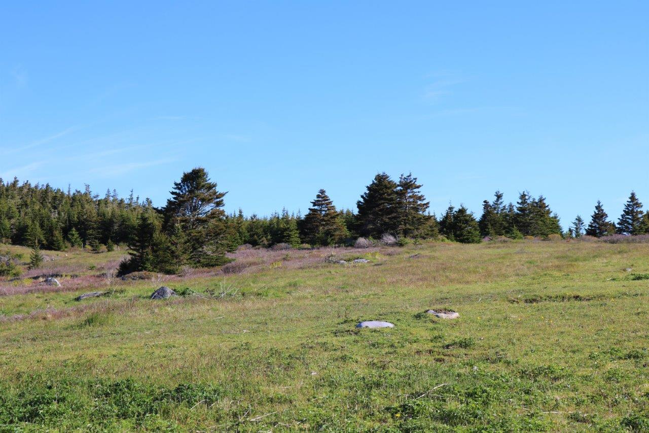 Cottage Property for Sale in Guysborough County, NS Dignam Land