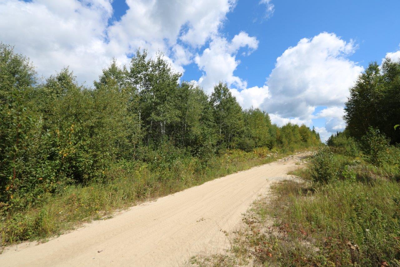 Crown Land for Sale in Cochrane, Ontario Dignam Land