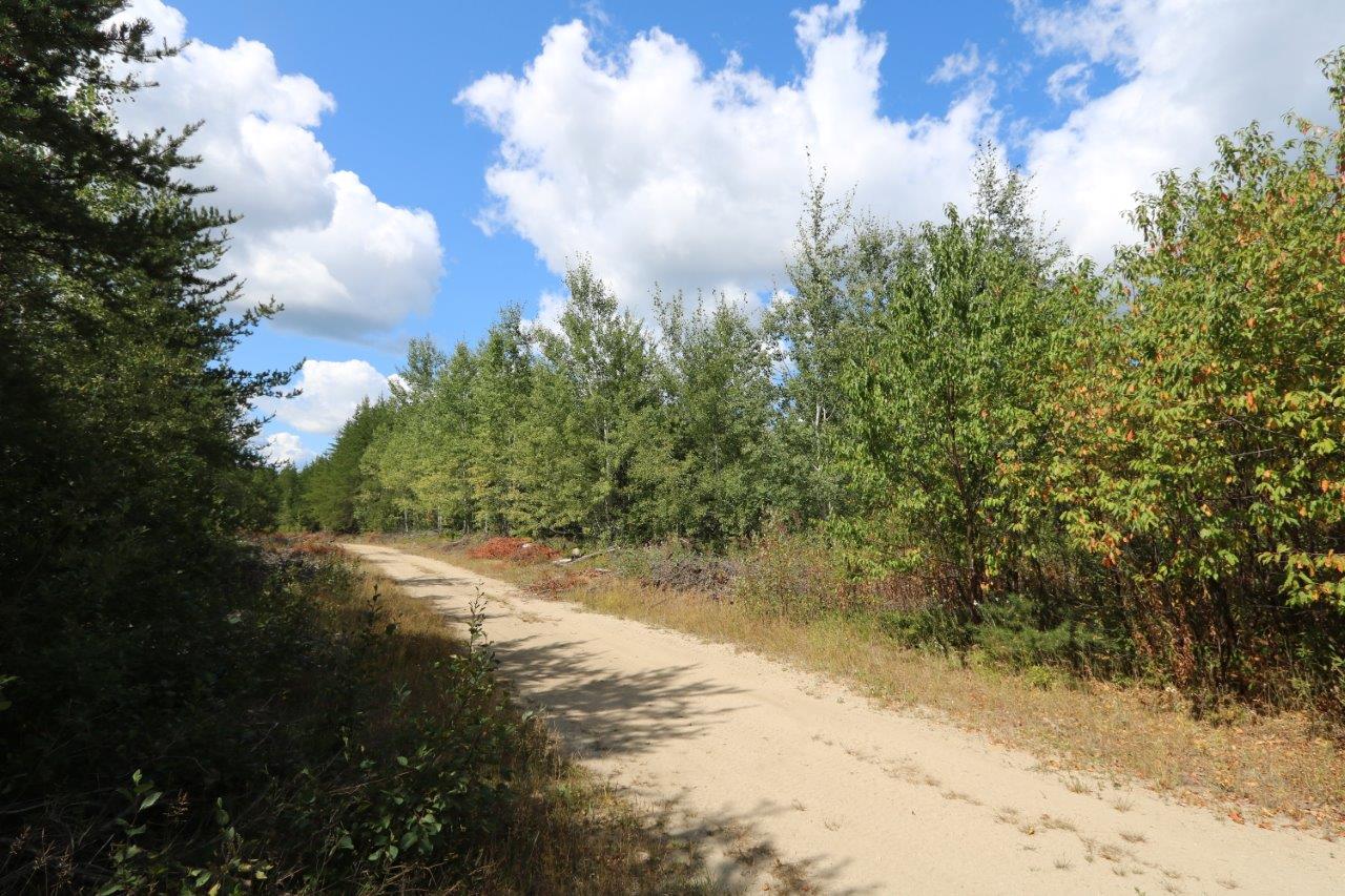 Crown Land for Sale in Cochrane, Ontario Dignam Land