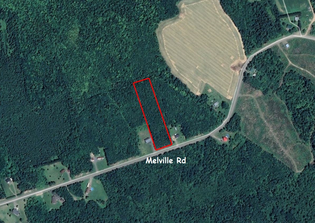 Hunting Land for Sale in Carleton, New Brunswick Dignam Land