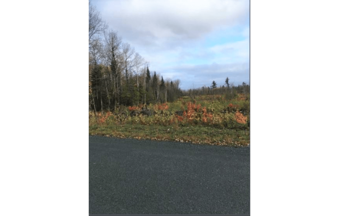 Cottage Property for Sale in Restigouche County, N.B. Dignam Land