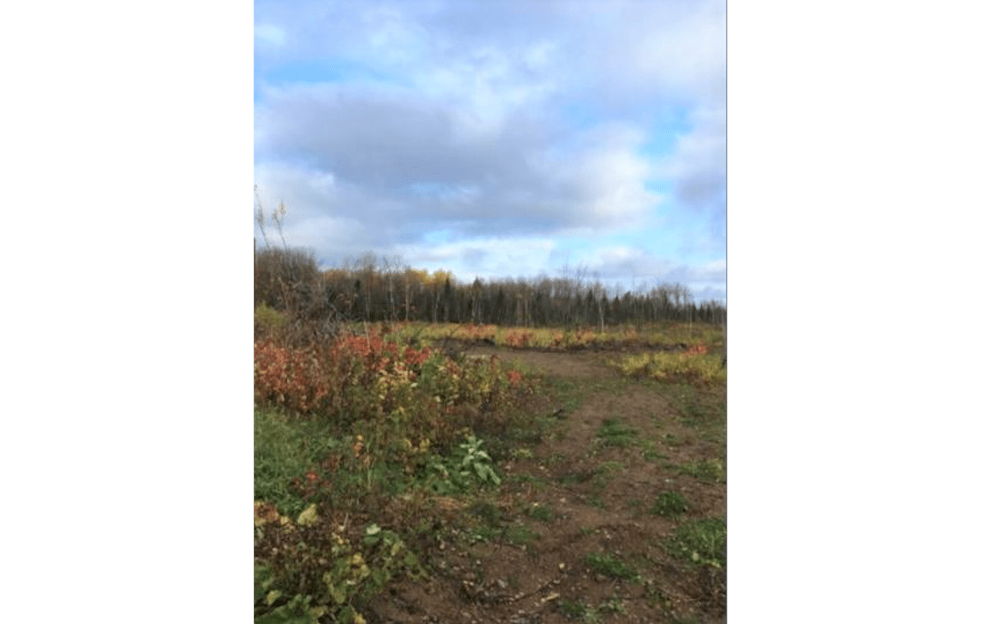 Cottage Property for Sale in Restigouche County, N.B. Dignam Land