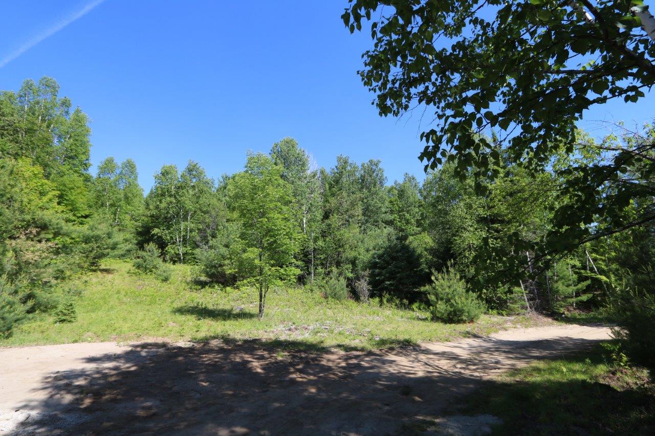 Forest Land for Sale in Hastings, Ontario Dignam Land