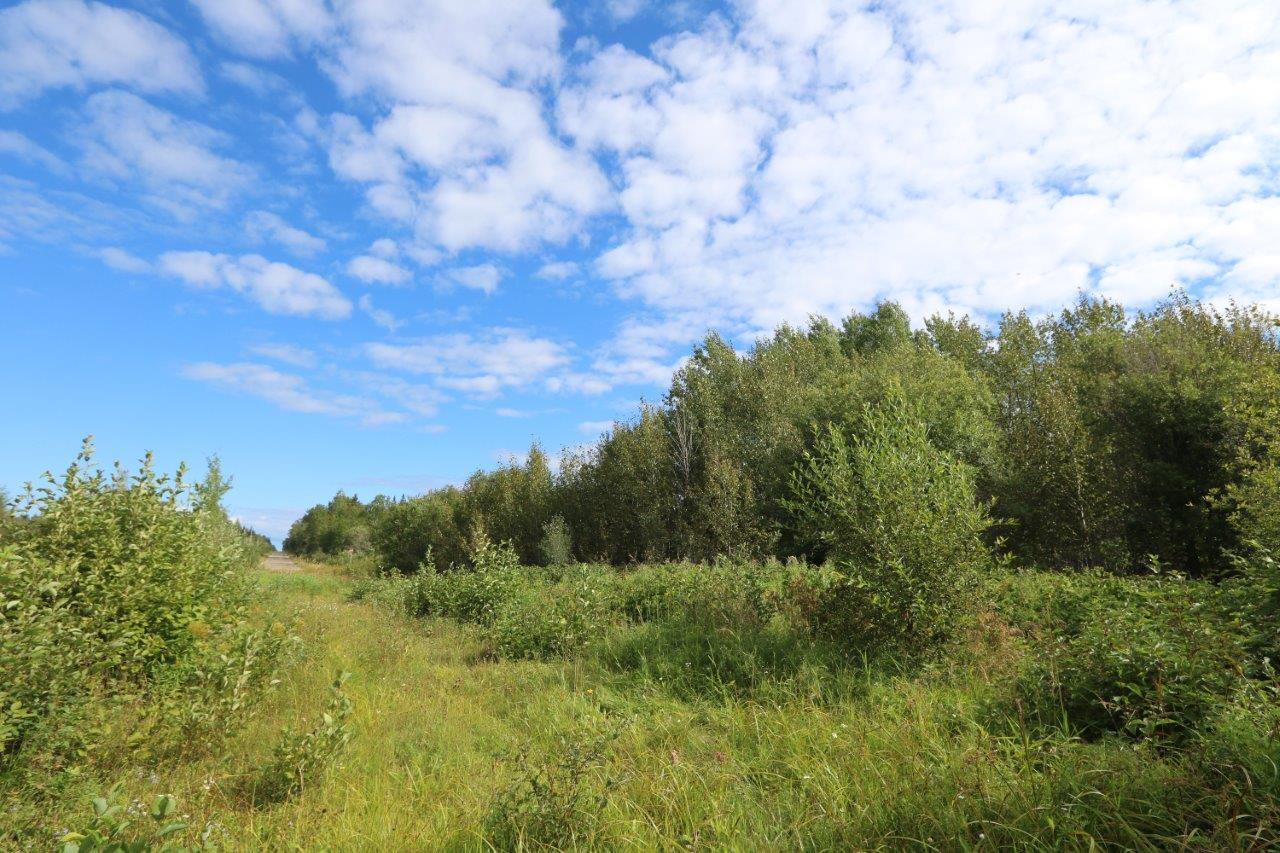 Cochrane Ontario Real Estate Acreages at Roberta Blessing blog