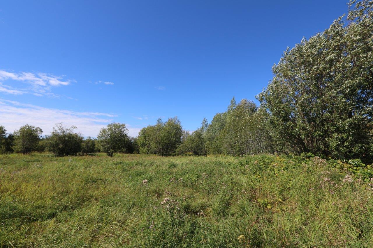 Property for Sale in Cochrane, Ontario Dignam Land