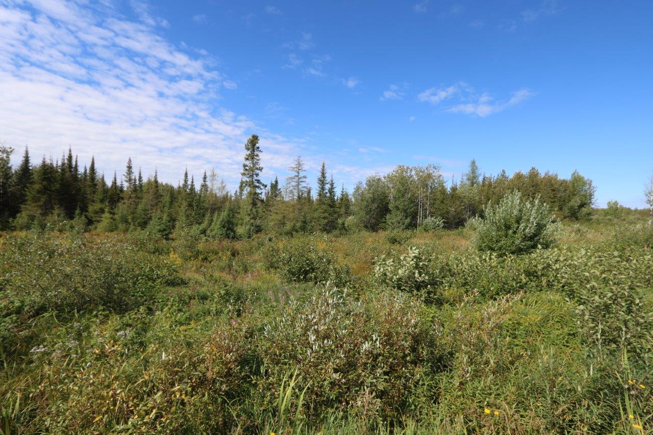 Property for Sale in Cochrane, Ontario Dignam Land