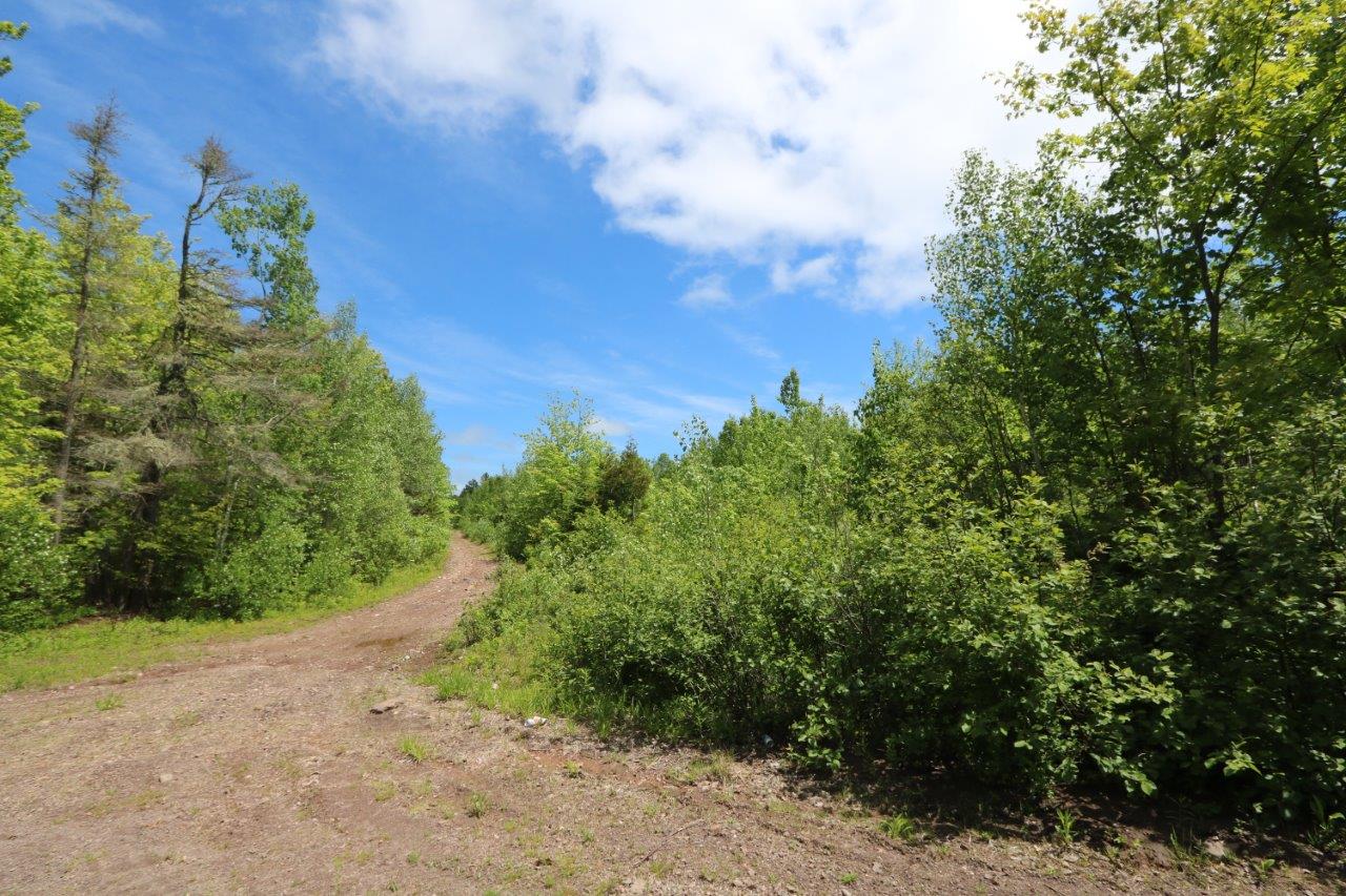 Vacant Land for Sale in Queens County, New Brunswick Dignam Land