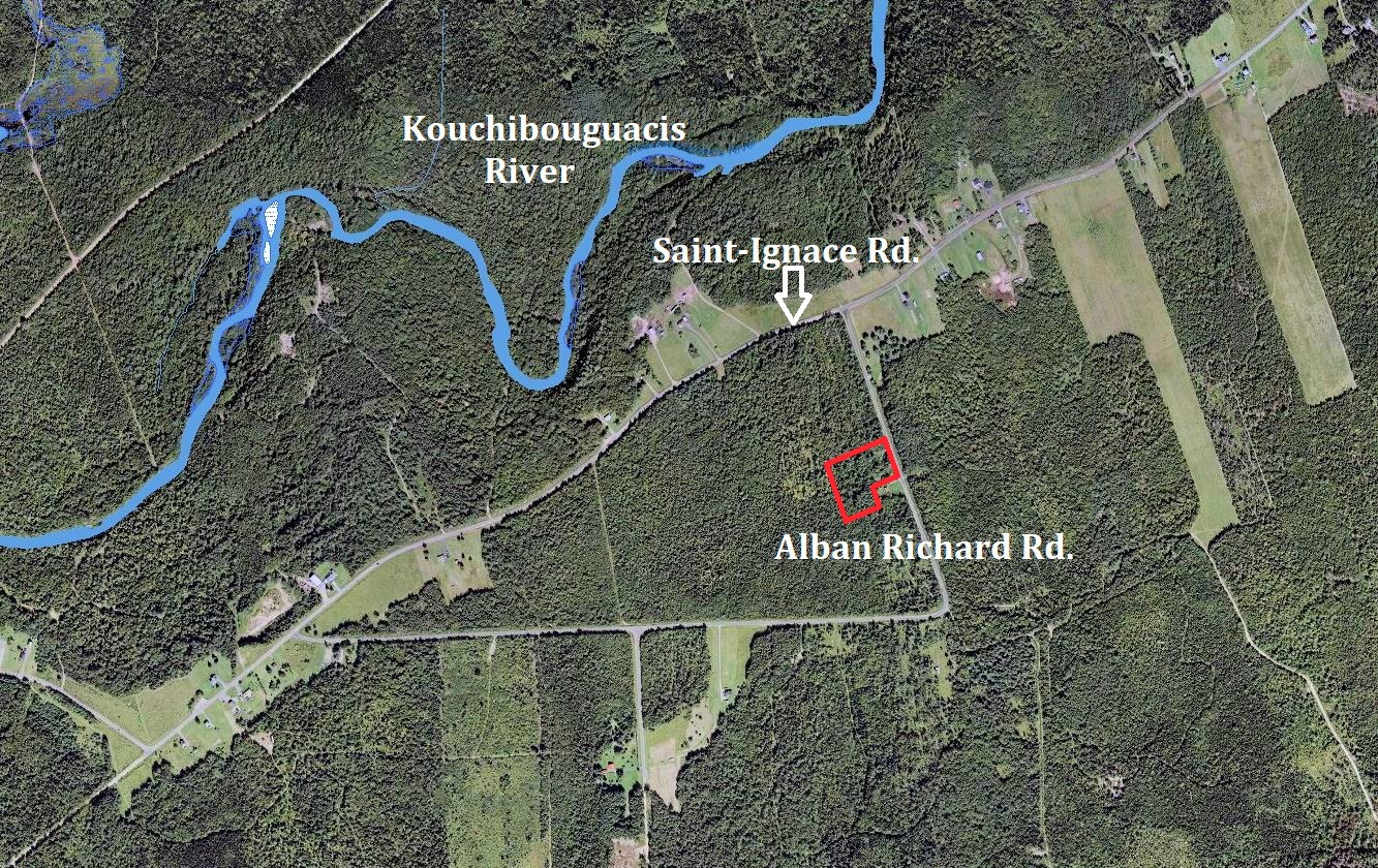 Hunting Land for Sale in Kent County, New Brunswick Dignam Land