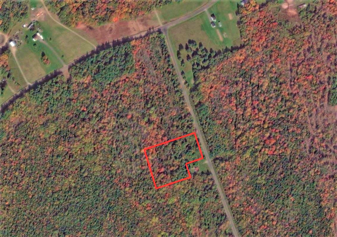 Hunting Land for Sale in Kent County, New Brunswick Dignam Land