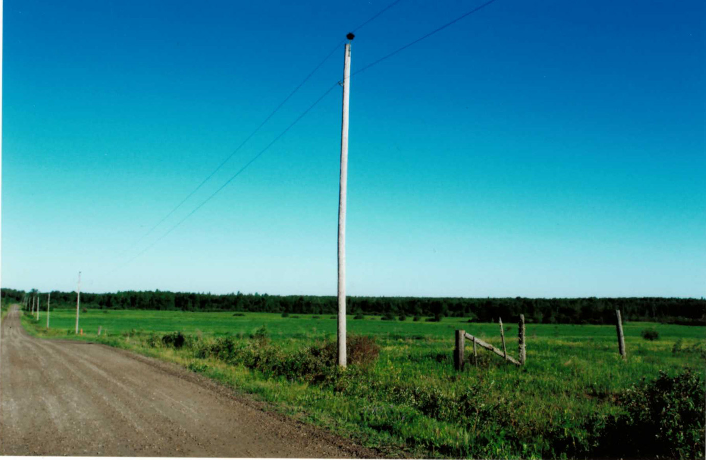 Hunting Land for Sale in Cochrane, Ontario Dignam Land