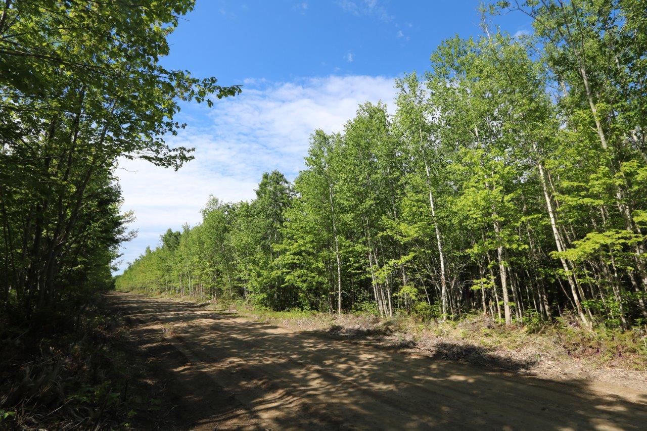 Land for Sale in Kent County, New Brunswick Dignam Land