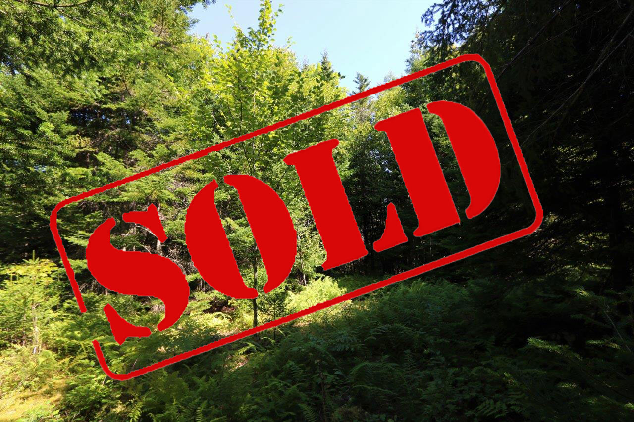 Hunting Land for Sale in Cape Breton, Nova Scotia Dignam Land