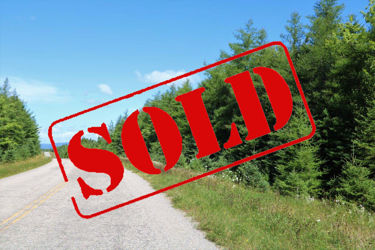 Property for Sale in Cape Breton, Nova Scotia Dignam Land