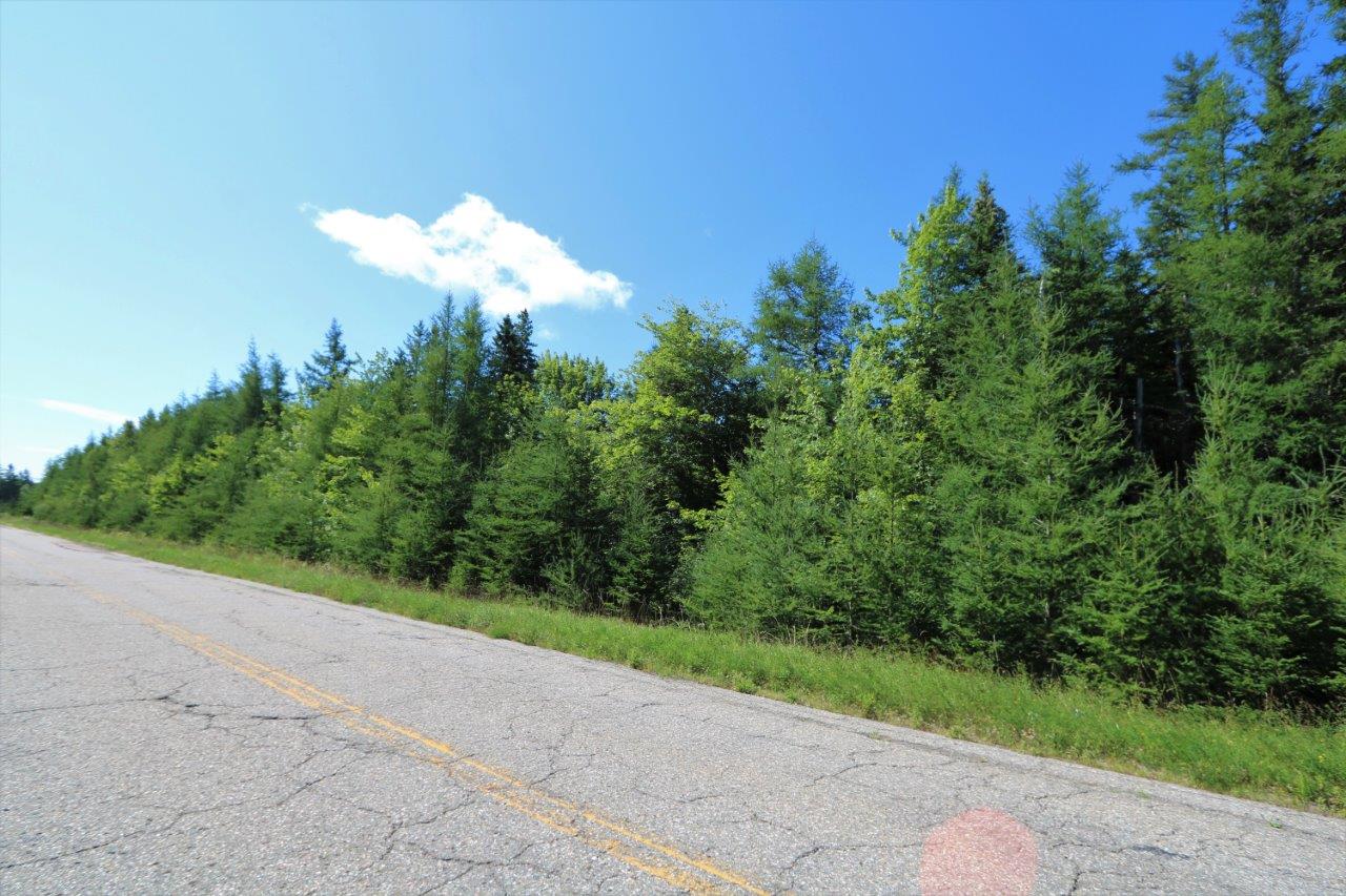 Land for Sale in Cape Breton, Nova Scotia Dignam Land
