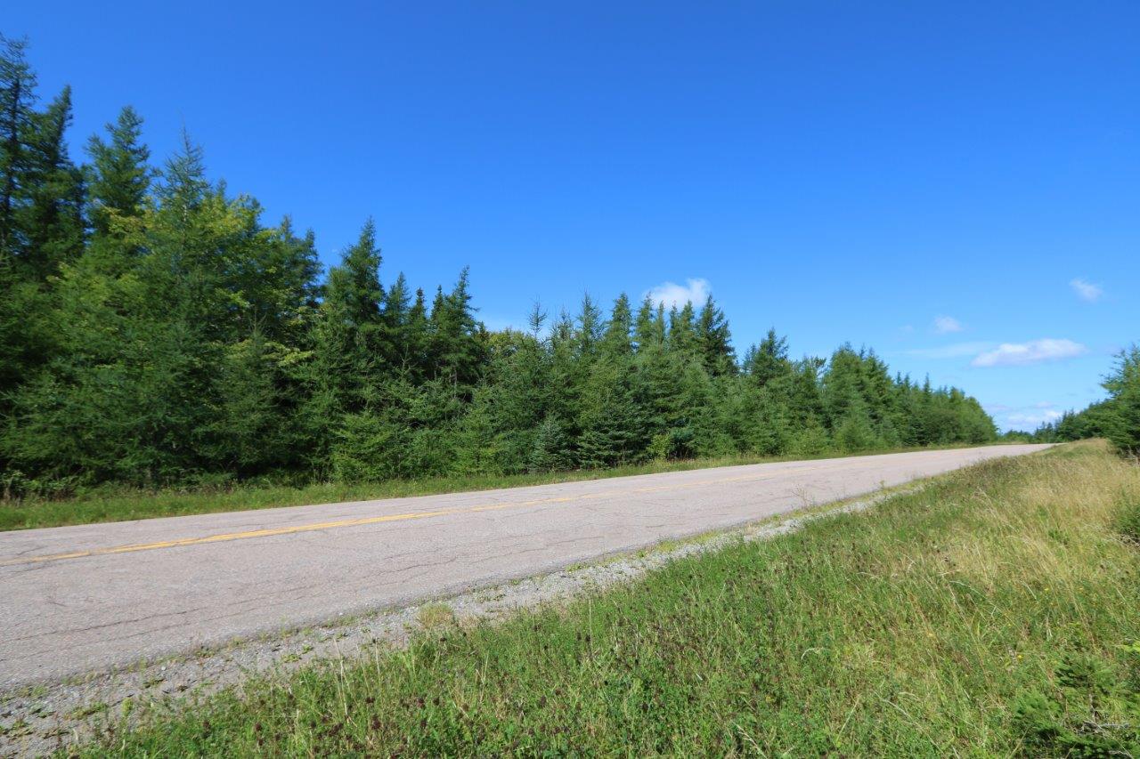 Land for Sale in Cape Breton, Nova Scotia Dignam Land