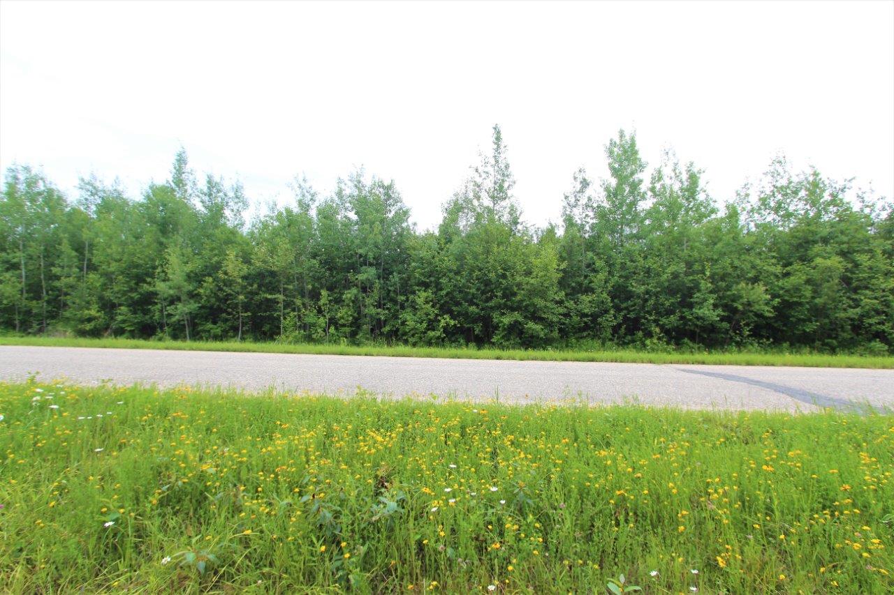 Hunting Land for Sale in Rainy River, Ontario Dignam Land