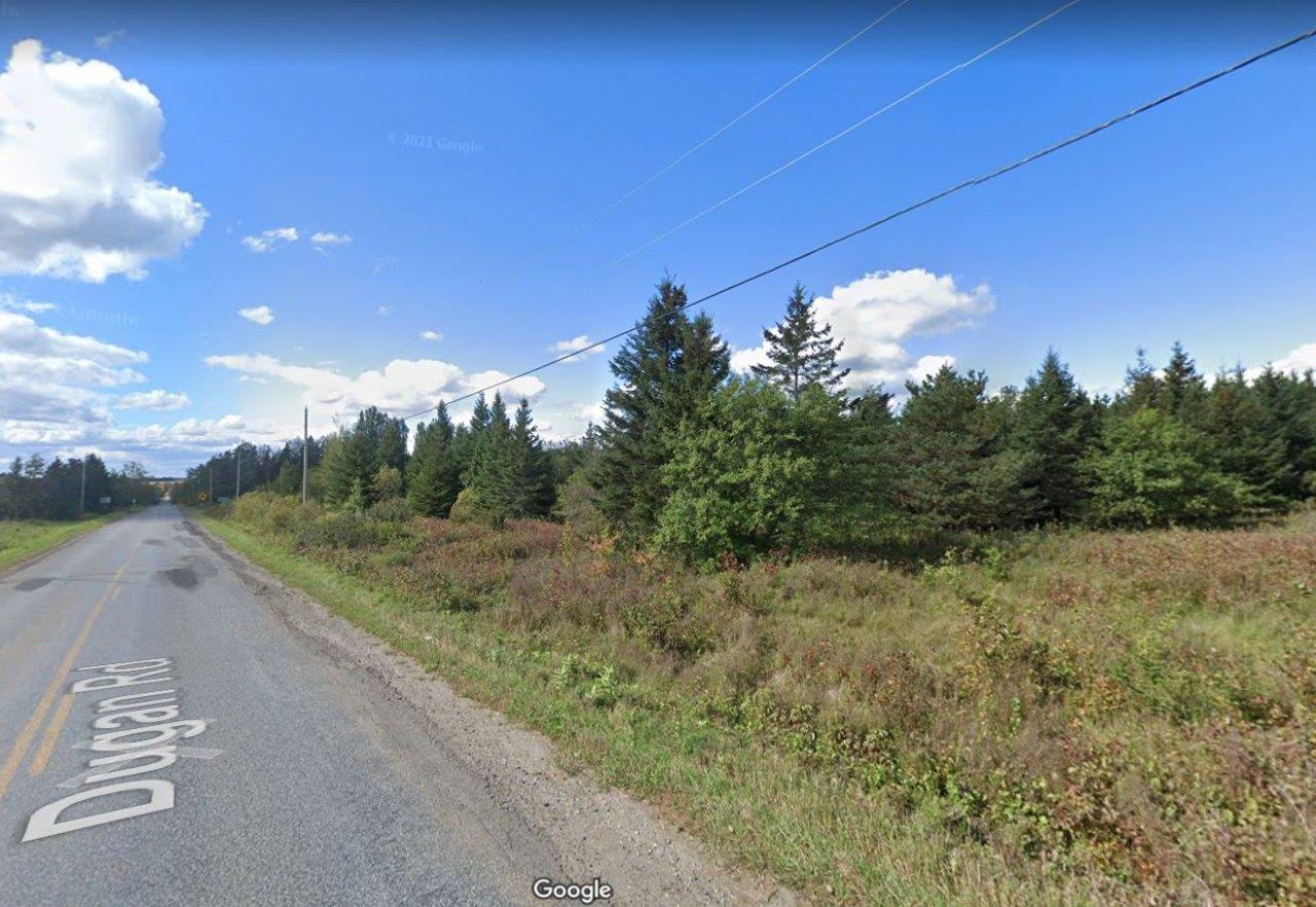 Land for Sale in Carleton, New Brunswick Dignam Land