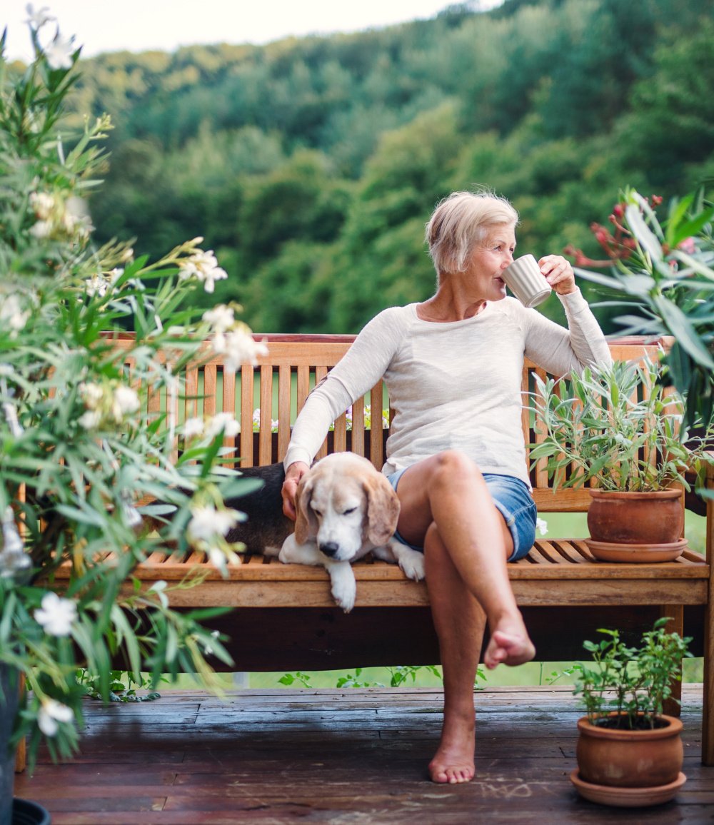 Digs for Dogs The Perfect Alternative to Kennels in Calderdale