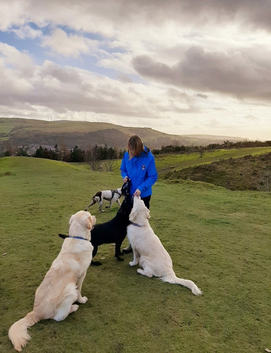 How Much Do Dog Walkers Charge Uk