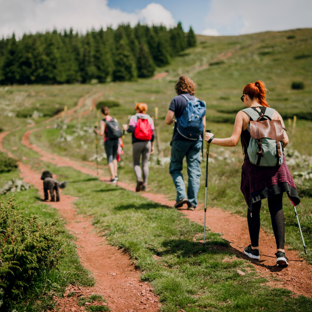 The Top 3 Dog Walks in the United Kingdom Digs for Dogs