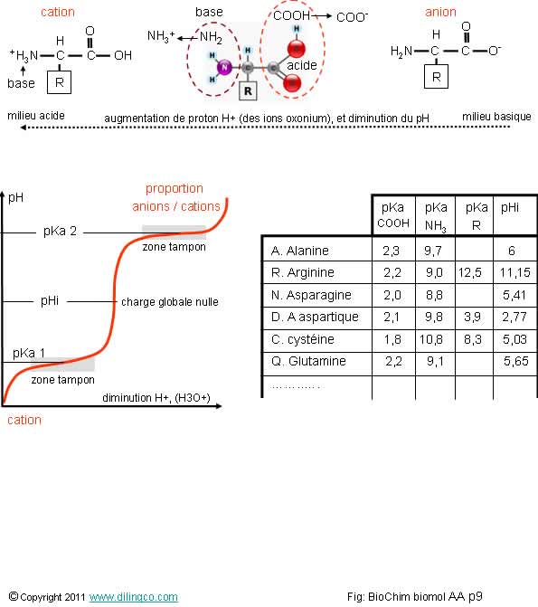 WEB Links bc2_3