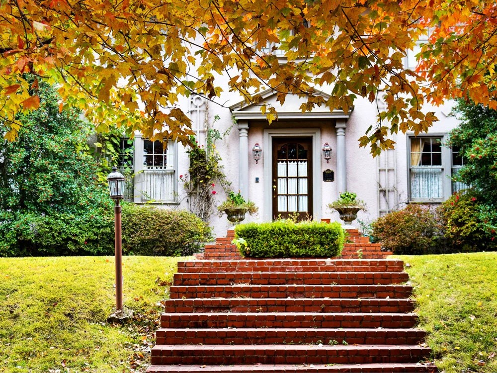 Dillard Cies Real Estate