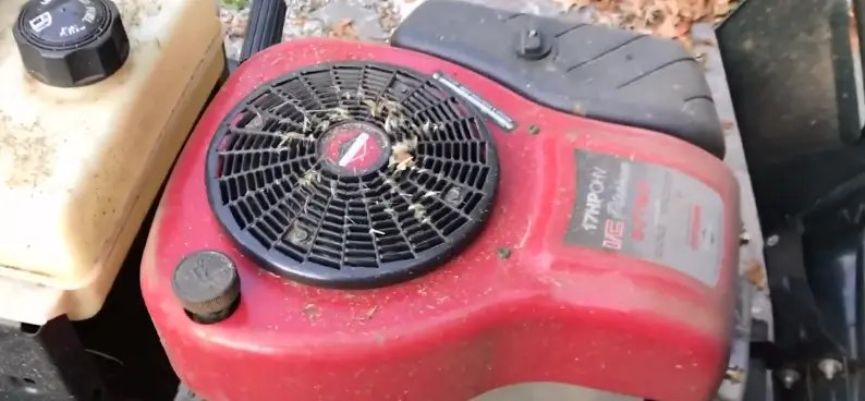 Why Lawn Mower Runs for 5 Minutes then Dies [Solved!]