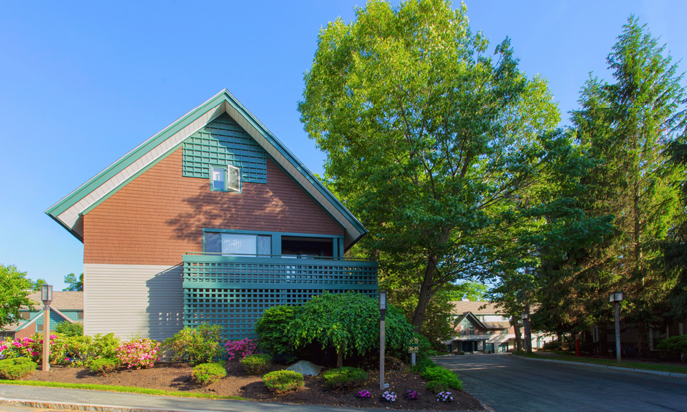 COMFORTABLE FAMILIARITY DiMella Shaffer