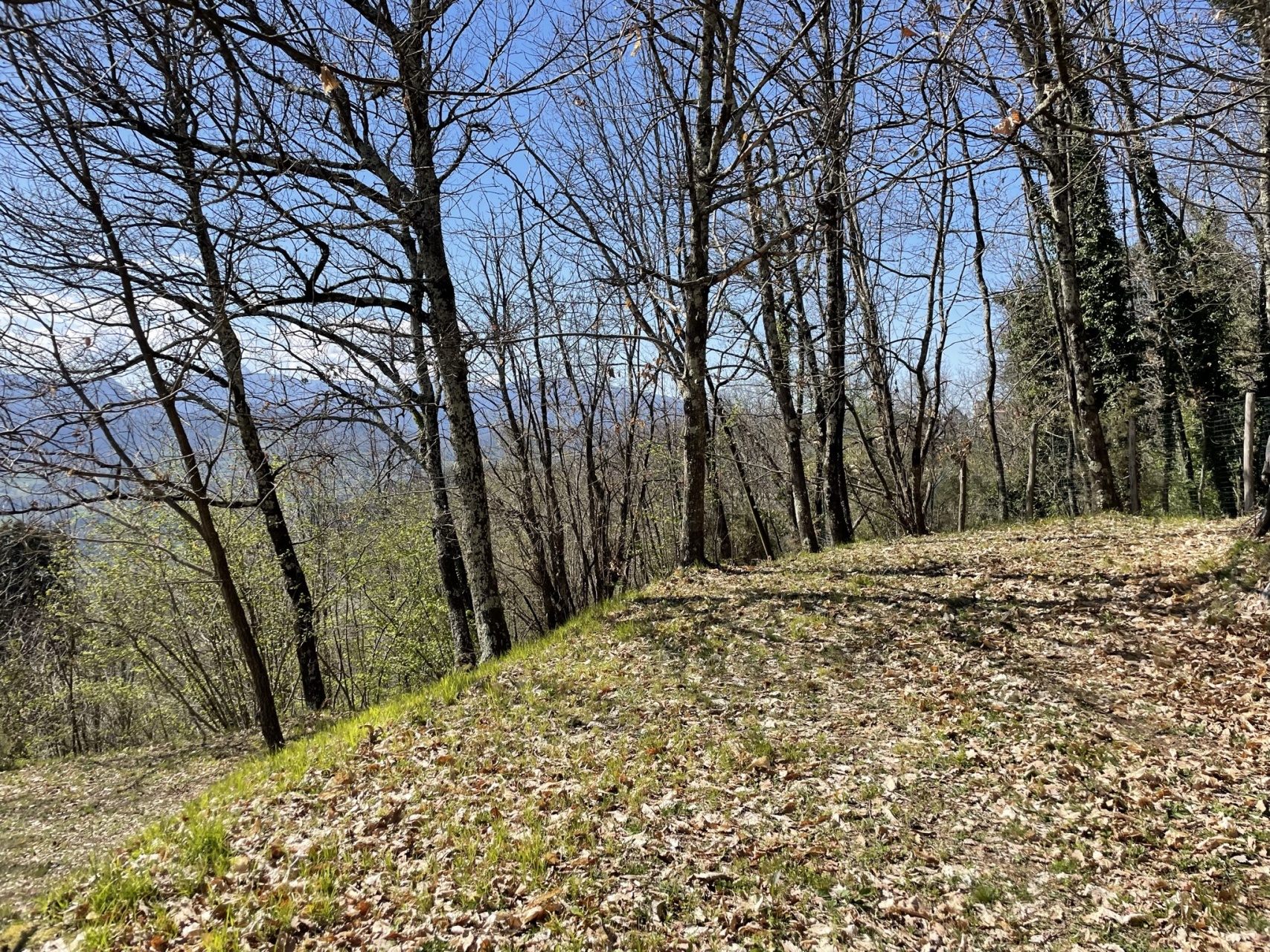 Detached House 1302 for sale at Albiano, Barga Media Valle del Serchio Houses in Tuscany