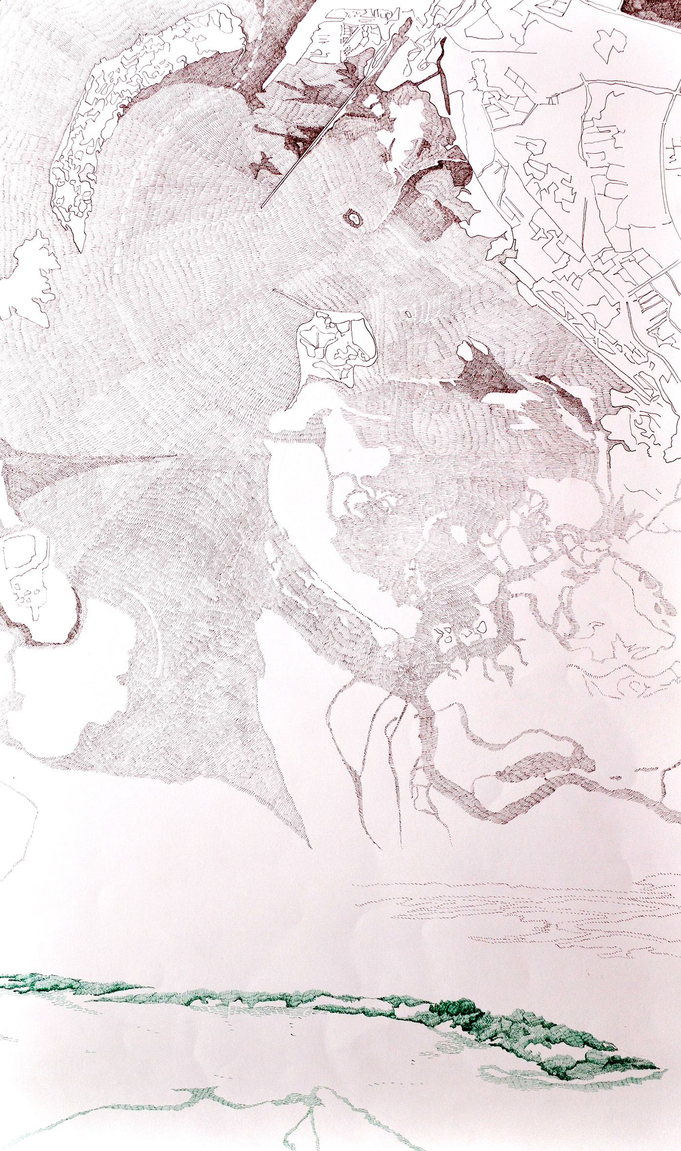 Disegno di Nicolò Mariani