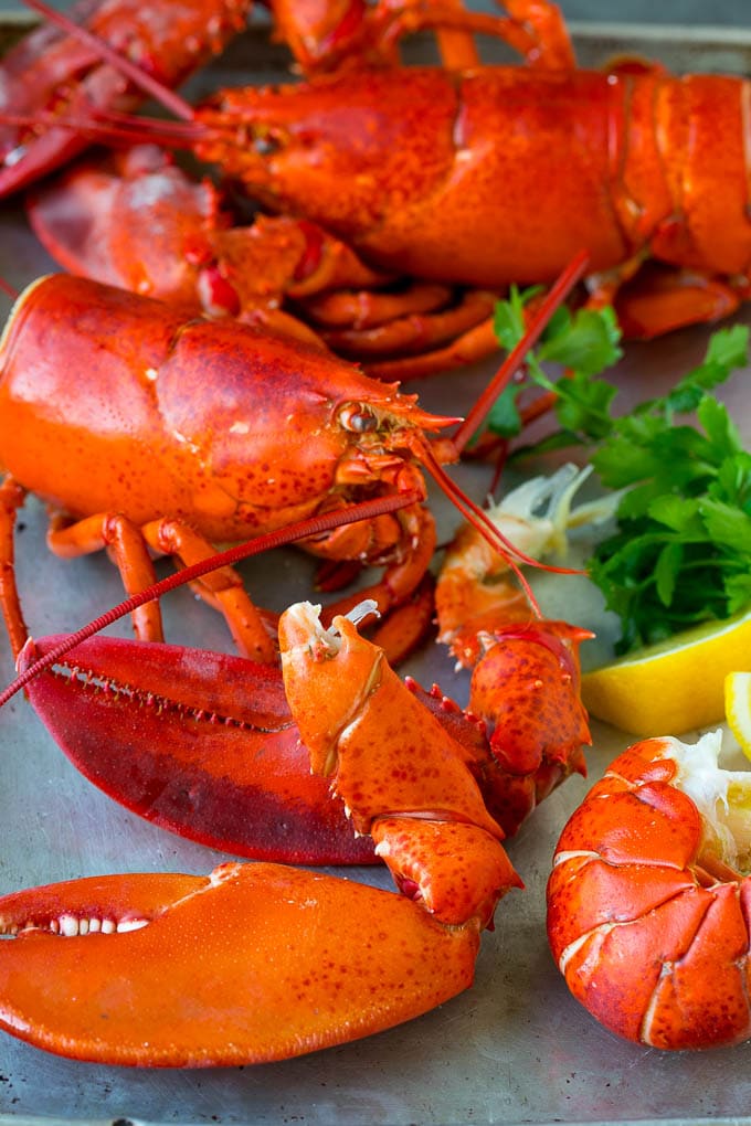 How to Cook a Lobster Dinner at the Zoo