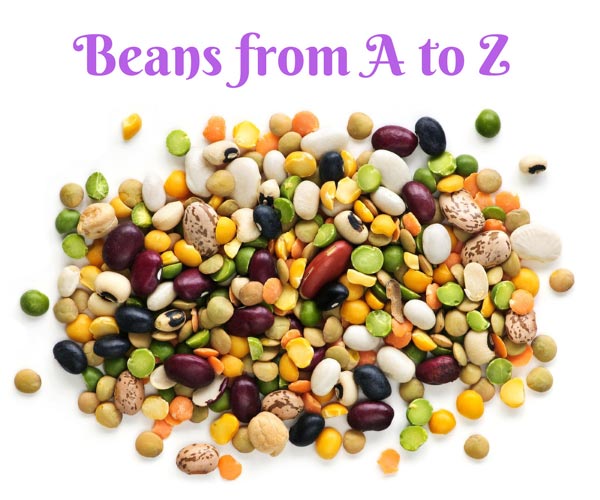 All About Beans Learn More about Healthy and Delicious Beans