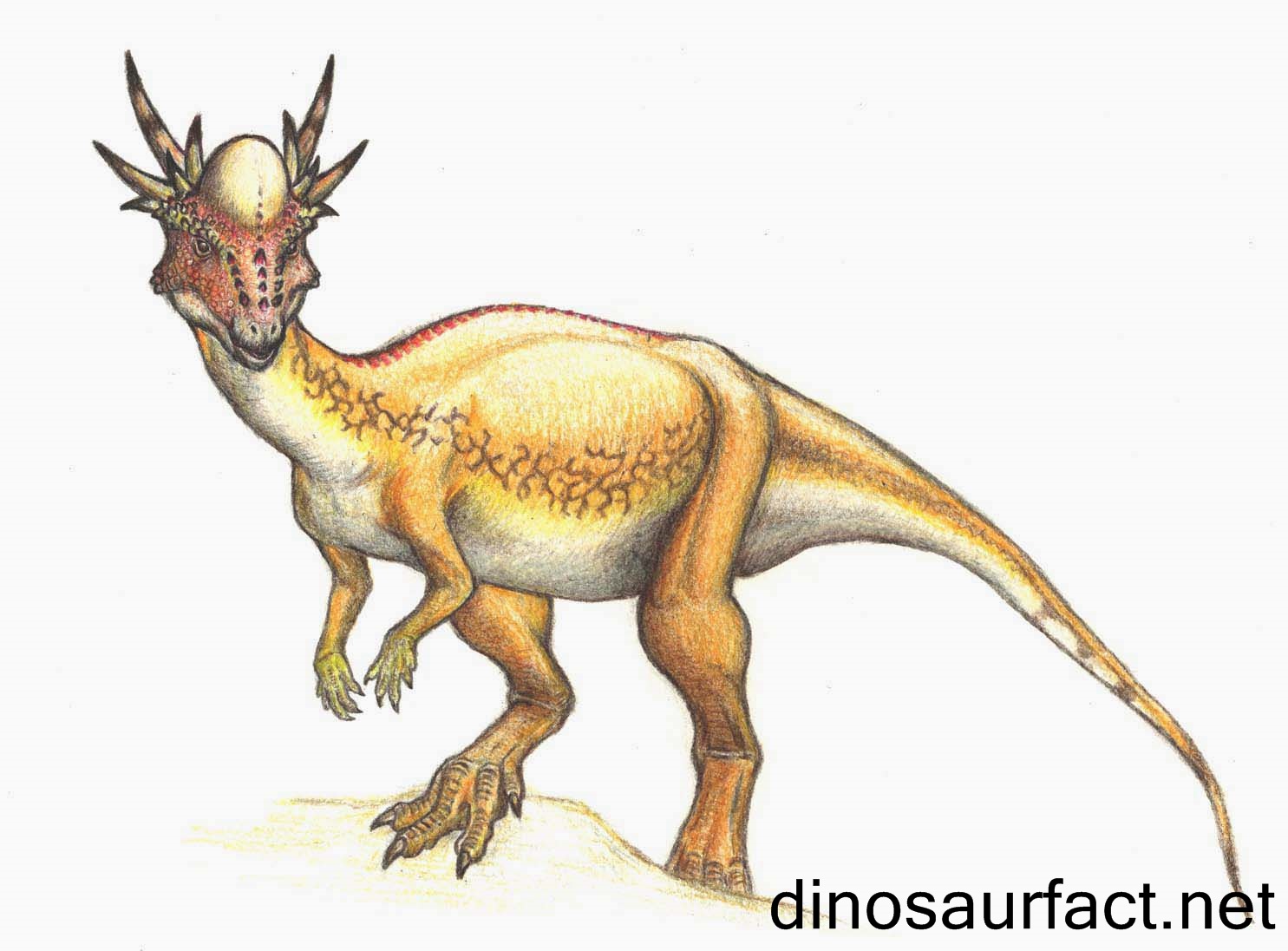 Stygimoloch dinosaur
