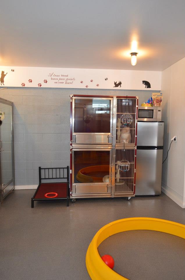 Double Stack Dog Kennel Designs For Max Efficiency in