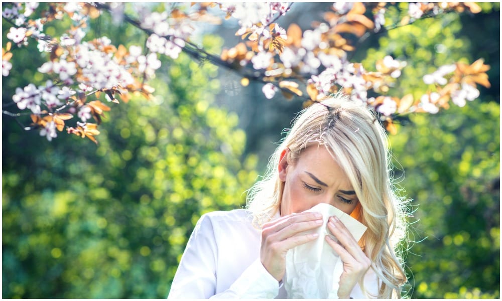 Easy Home Treatments for Hay Fever DirectSharing