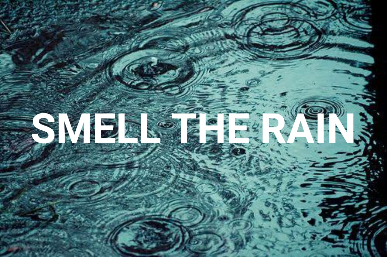 Why does rain smell so good? Enigma