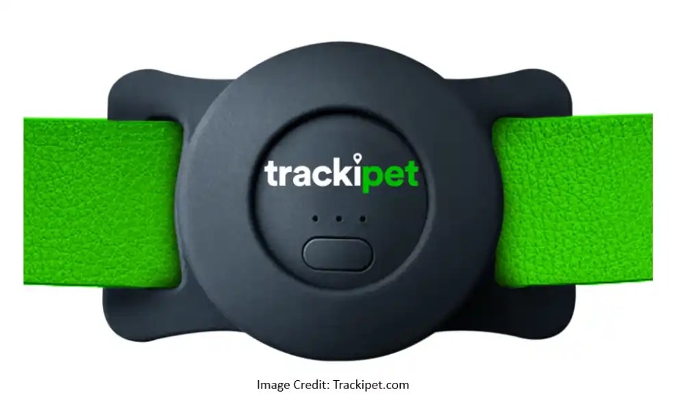 Best Tracking Device for Cats 6 Effective Options Dirtbags with Furbags